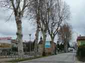 Zoom Foto