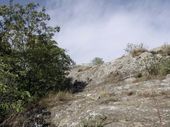 Zoom Foto